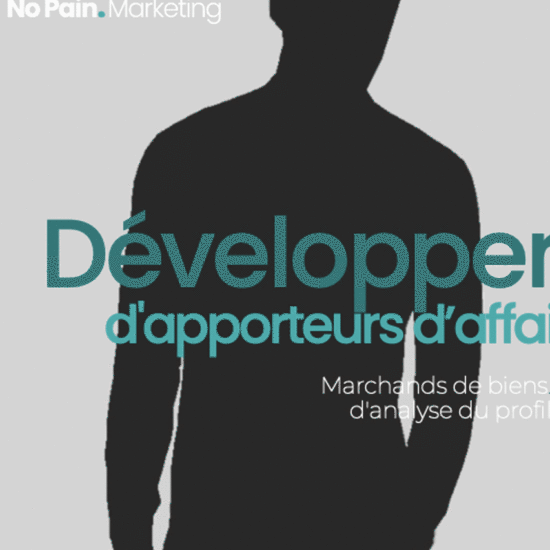 No Pain.Marketing | Etude marketing | Qualifier un réseau d’apporteurs d’affaires - Cas Client Domimo