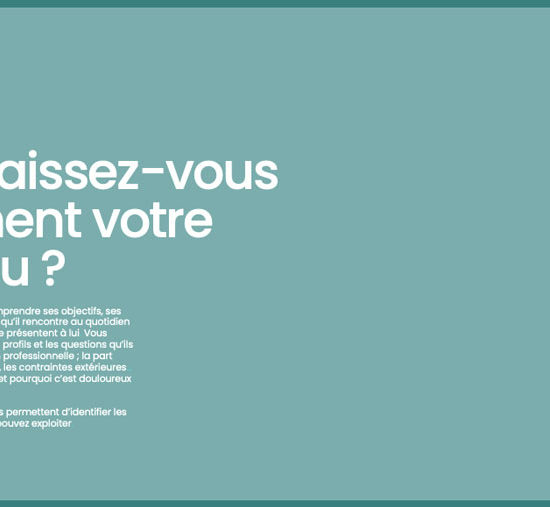 No Pain.Marketing | Etude marketing | Qualifier un réseau d’apporteurs d’affaires - Cas Client Domimo