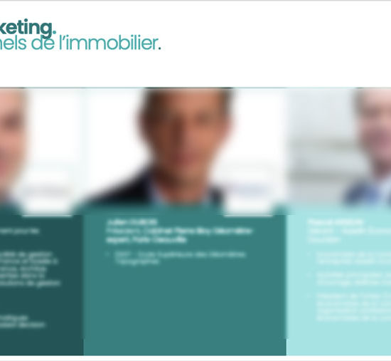No Pain.Marketing | Etude marketing | Qualifier un réseau d’apporteurs d’affaires - Cas Client Domimo